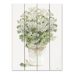 CIN2877PAL - White Geraniums II - 12x16