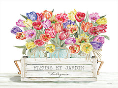 CIN2881 - Tulip Trio - 16x12