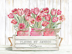 CIN2883 - Trio of Pink Tulips - 16x12