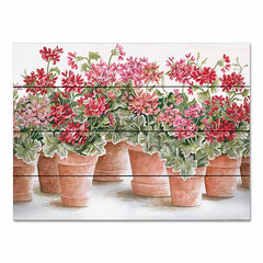 CIN2889PAL - Potted Geranium Mix I - 16x12