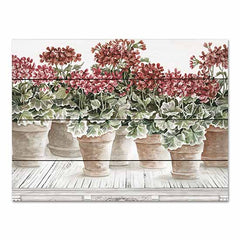 CIN2891PAL - Potted Geranium Mix III - 16x12