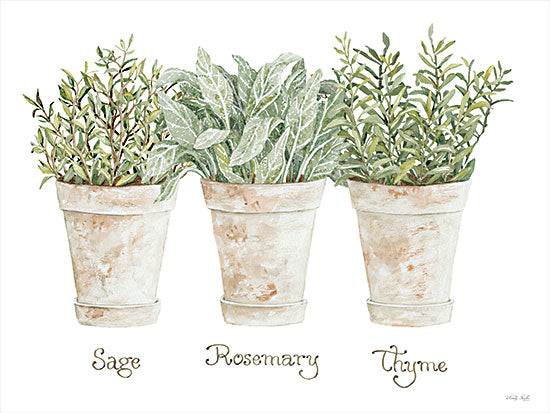 Cindy Jacobs CIN2934 - CIN2934 - Herb Trio - 16x12 Herbs, Sage, Rosemary, Thyme, Potted Herbs, Kitchen from Penny Lane