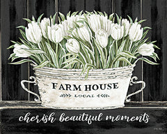 CIN2977 - Cherish Beautiful Moments - 16x12