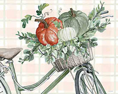 CIN3130 - Bountiful Basket on a Bike II - 16x12