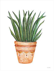 CIN3152 - Aztec Pot II - 12x16