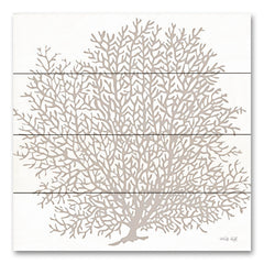 CIN3183PAL - Gray Coral II     - 12x12