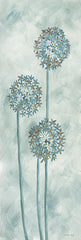 CIN3203 - Allium II - 6x18