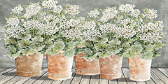 CIN3227 - All in a Row II  - 18x9