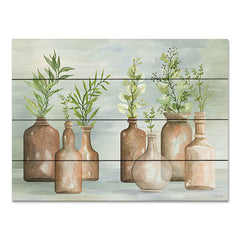 CIN3235PAL - Greenery in Bottles II - 16x12