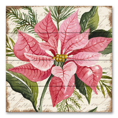 CIN3271PAL - Pink Poinsettia Botanical - 12x12