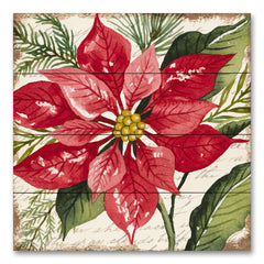 CIN3272PAL - Red Poinsettia Botanical - 12x12