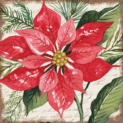 CIN3272 - Red Poinsettia Botanical - 12x12