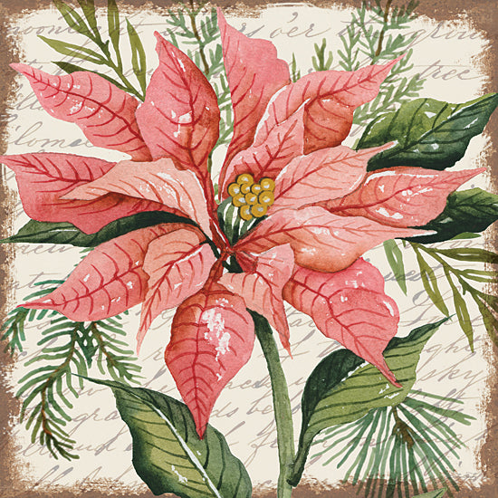 Cindy Jacobs Licensing CIN3274LIC - CIN3274LIC - Peach Poinsettia Botanical - 0  from Penny Lane