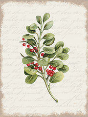 CIN3279LIC - Berries Christmas Botanical - 0