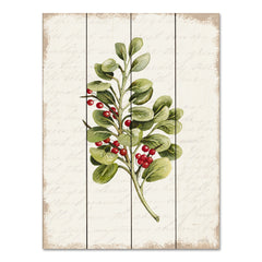 CIN3279PAL - Berries Christmas Botanical - 12x16