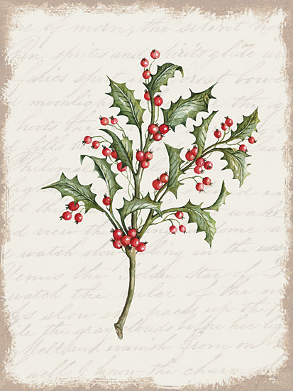 Cindy Jacobs Licensing CIN3280LIC - CIN3280LIC - Holly Christmas Botanical - 0  from Penny Lane