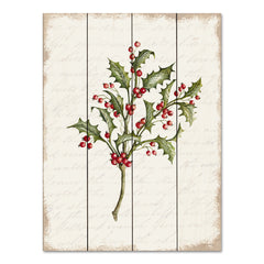 CIN3280PAL - Holly Christmas Botanical - 12x16