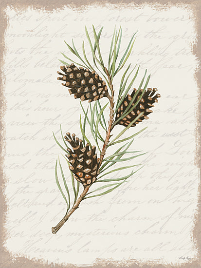 Cindy Jacobs Licensing CIN3281LIC - CIN3281LIC - Pine Cone Botanical I - 0  from Penny Lane