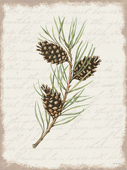 CIN3281LIC - Pine Cone Botanical I - 0