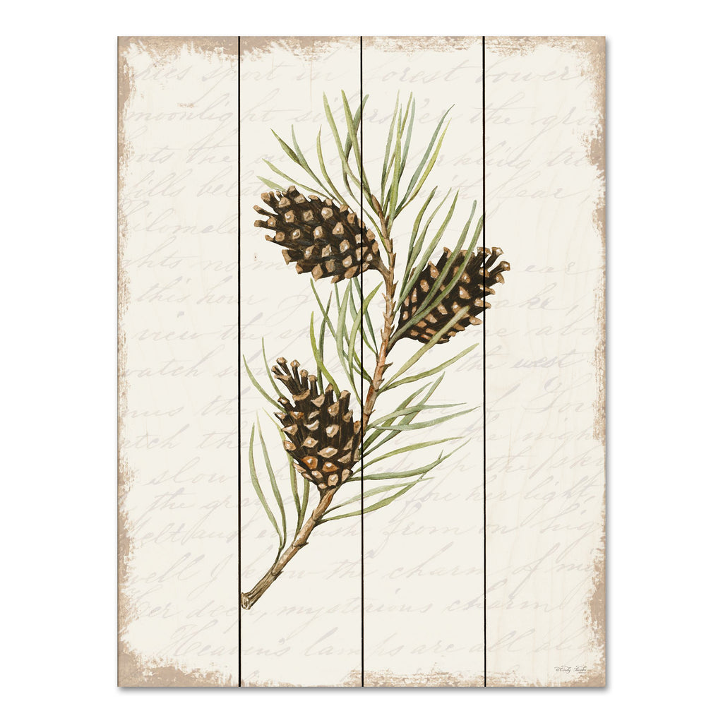 Cindy Jacobs CIN3281PAL - CIN3281PAL - Pine Cone Botanical I - 12x16 Pine Cones, Botanical, Evergreen, Sprig, Nature, Christmas, Holidays  from Penny Lane