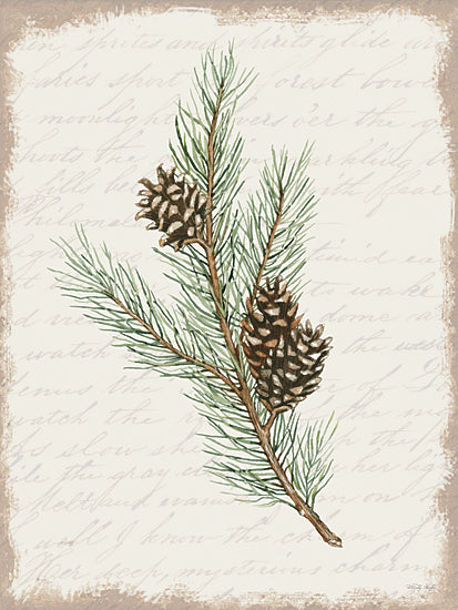 Cindy Jacobs Licensing CIN3282LIC - CIN3282LIC - Pine Cone Botanical II - 0  from Penny Lane