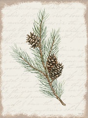 CIN3282LIC - Pine Cone Botanical II - 0