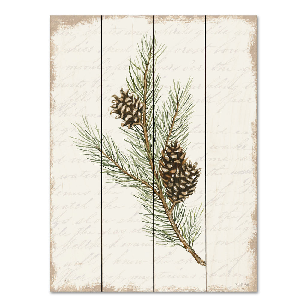 Cindy Jacobs CIN3282PAL - CIN3282PAL - Pine Cone Botanical II - 12x16 Pine Cones, Botanical, Evergreen, Sprig, Nature, Christmas, Holidays  from Penny Lane