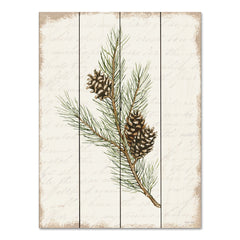 CIN3282PAL - Pine Cone Botanical II - 12x16