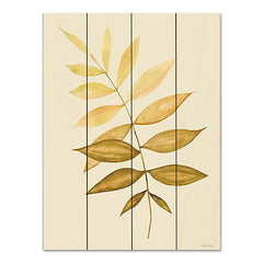 CIN3511PAL - Golden Fern - 12x16