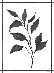CIN3516 - Leaf Collection III - 12x16