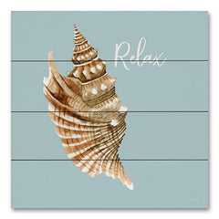 CIN3536PAL - Relax Seashell - 12x12