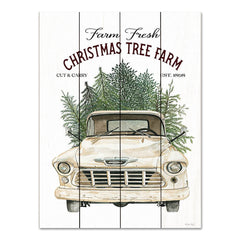 CIN3574PAL - Christmas Tree Farm - 12x16