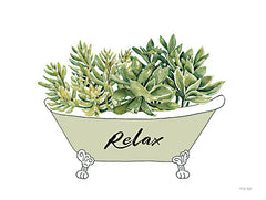 CIN3603LIC - Succulent Tub - 0