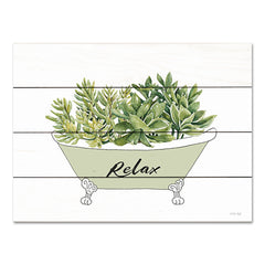 CIN3603PAL - Succulent Tub - 16x12