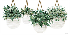 CIN3710LIC - Hanging Plants - 0