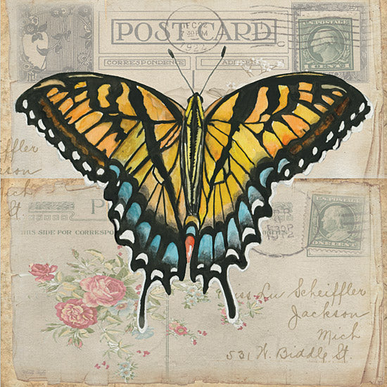 Cindy Jacobs CIN3731 - CIN3731 - Postcard Butterfly II - 12x12 Butterfly, Postcard, Yellow Butterfly, Typography, Signs, Vintage from Penny Lane