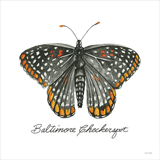 Cindy Jacobs Licensing CIN3734LIC - CIN3734LIC - Baltimore Checkerspot - 0  from Penny Lane