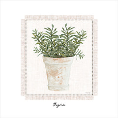 CIN3809 - Fresh Thyme - 12x12