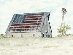 CIN3836 - USA Barn - 16x12