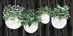 CIN3973 - Potted Plants on Barnwood - 18x9