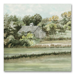 CIN3993PAL - Fields of Beauty    - 12x12