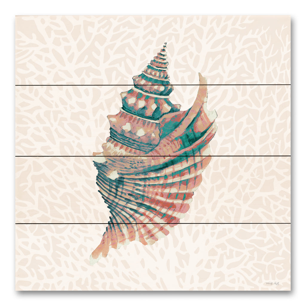 Cindy Jacobs CIN4099PAL - CIN4099PAL - Miami Vibe Seashell 2 - 12x12  from Penny Lane