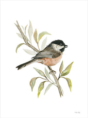 CIN4104 - Chickadee Songbird - 12x16