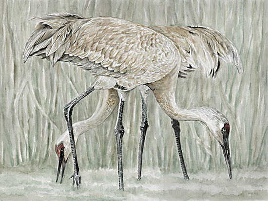 Cindy Jacobs CIN4148 - CIN4148 - Feeding Frenzy - 16x12 Coastal, Cranes, Marsh, Landscape, Birds, Green from Penny Lane