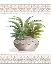 CIN4220 - Aztec Succulent III - 12x16