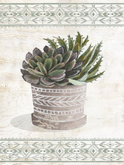 CIN4223 - Aztec Succulent VI - 12x16