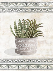 CIN4224 - Aztec Succulent VII - 12x16