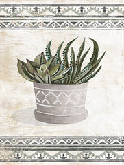 CIN4225 - Aztec Succulent VIII - 12x16