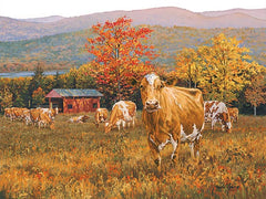 COW134 - Autumn's Gold