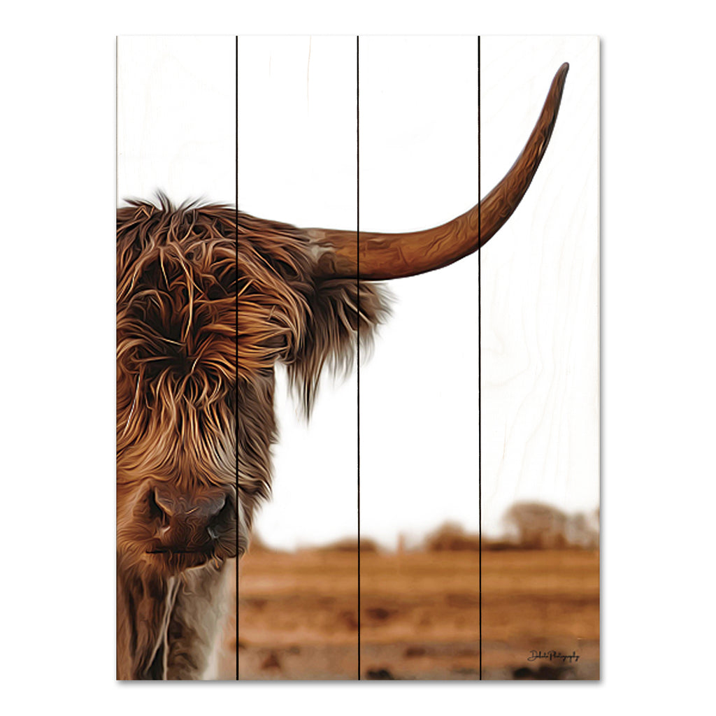 Dakota Diener DAK100PAL - DAK100PAL - Highland Portrait - 12x16 Cow, Highland Cow, Farm Animal, Photography, Portrait from Penny Lane